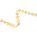 3/4" Ultra Sonic Trim | Star Gold | 10 Yard Roll