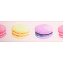 2 1/2" Wired Ribbon | Single Macaroon | 10 Yard Roll