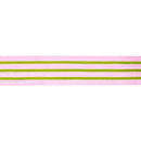 4" Wired Velvet Ribbon w/ Trim | Pink w/ Green Trim | 10 Yard Roll