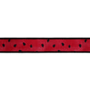 1 1/2" Wired Dupioni Ribbon | Watermelon Seeds w/ Black Backing | 10 Yard Roll