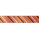 2 1/2" Wired Ribbon | Candy Stripe on Orange | 10 Yard Roll