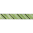 2 1/2" Wired Ribbon | Candy Stripe on Green | 10 Yard Roll