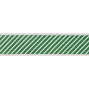 2 1/2" Wired Dupioni Ribbon | Small Bias Stripe Bright Green and White and Green Back | 10 Yard Roll