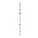 30" x 10' Holiday Reversible Wrapping Paper | Christmas Cuties on Stripes and Merry Checks